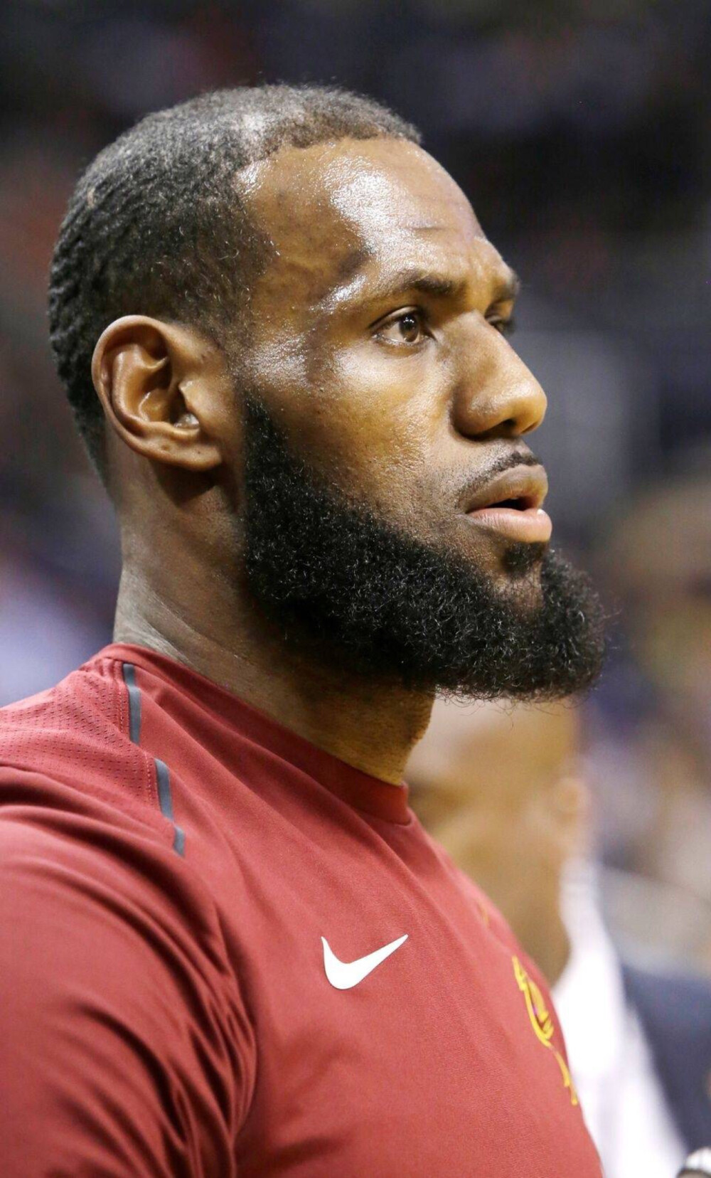 伦纳德在低 伦纳德在低